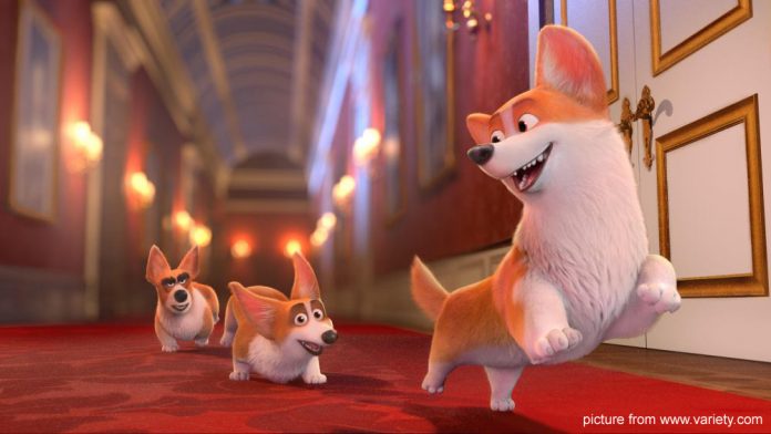 The-Queens-Corgi