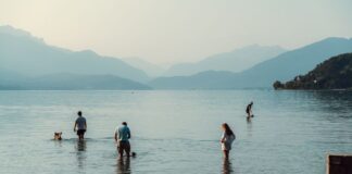 Annecy Animation Festival 2026 Winners: ‘Paper Trail’ and ‘The Violinist’ Crowned Amidst Historic 50th Edition Alt text image for Annecy Animation Festival 2026 Winners