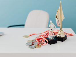 ANSEA Awards Submissions Open: A Gateway for ASEAN Animation Talent to Global Recognition Alt text image for ANSEA Awards submissions