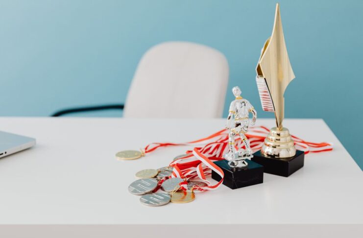 Alt text image for ANSEA Awards submissions