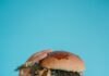 Alt text image for Bob's Burgers Holiday Short