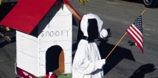 Alt text image for Snoopy's Doghouse Adventure