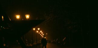 Illumination Not Alone Trailer Drops: A Star-Studded Sci-Fi Romance Set to Redefine Animated Storytelling in 2027 Alt text image for Illumination Not Alone