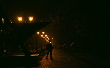 Illumination Not Alone Trailer Drops: A Star-Studded Sci-Fi Romance Set to Redefine Animated Storytelling in 2027 Alt text image for Illumination Not Alone