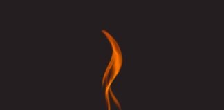 Ignite Your Animation Career: WIA Mentorship Program Round 2 Applications Now Open! Alt text image for WIA Mentorship Program