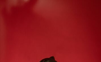 Neon Genesis Evangelion Arrives on The Criterion Channel: A Landmark for Anime and Streaming Alt text image for Neon Genesis Evangelion Criterion Channel