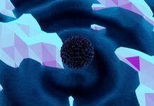 Polygon Pictures Unleashes Dark Fantasy ‘Maiden Blood’ Anime: A Deep Dive into the 2027 Epic Alt text image for Maiden Blood anime