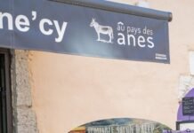 Annecy Festival Seeks Visionary Artistic Director Amidst Animation’s AI Revolution Alt text image for Annecy Festival Artistic Director