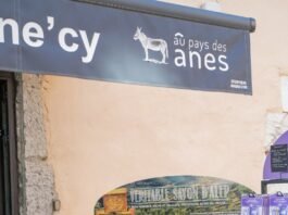 Alt text image for Annecy Festival Artistic Director