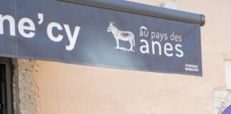 Annecy Festival Seeks Visionary Artistic Director Amidst Animation’s AI Revolution Alt text image for Annecy Festival Artistic Director