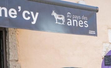 Annecy Festival Seeks Visionary Artistic Director Amidst Animation’s AI Revolution Alt text image for Annecy Festival Artistic Director