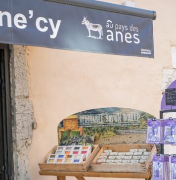 Annecy Festival Seeks Visionary Artistic Director Amidst Animation’s AI Revolution Alt text image for Annecy Festival Artistic Director