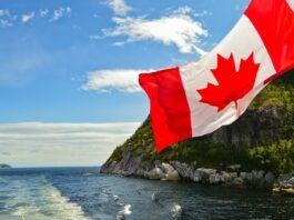 Charting a New Course: Canadian Producers Innovate for the Future of Canadian Kids’ Content Alt text image for Future of Canadian Kids' Content