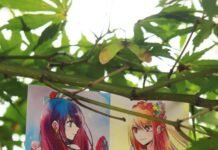 Hirayasumi Anime Unveils Breathtaking First Footage and Stellar Voice Cast: A New Era for Animated Storytelling Alt text image for Hirayasumi Anime