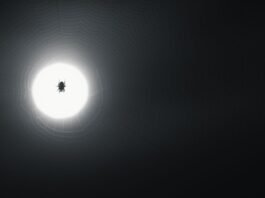 Alt text image for Spider-Noir VFX