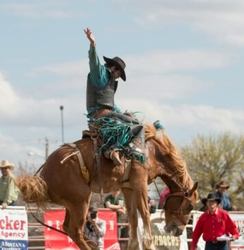 Rodeo FX Celebrates 20th Anniversary: A VFX and Animation Powerhouse’s Two Decades of Innovation Alt text image for Rodeo FX 20th Anniversary