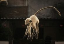 Toei Animation’s ‘Monkey Quest’ Soars to Lionsgate for 2027 North American Release: A Deep Dive into the 3DCG Adventure Alt text image for Toei Animation Monkey Quest