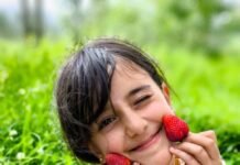 WildBrain Unleashes ‘Strawberry Shortcake’s Bake Shop’: A Sweet Return to CG Animation Excellence Alt text image for Strawberry Shortcake's Bake Shop