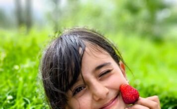 WildBrain Unleashes ‘Strawberry Shortcake’s Bake Shop’: A Sweet Return to CG Animation Excellence Alt text image for Strawberry Shortcake's Bake Shop