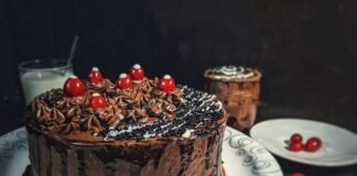 CAKE and Mandai X Unite to Launch Exciting ‘Ranger Buddies Animated Series’ for Young Explorers Alt text image for Ranger Buddies Animated Series