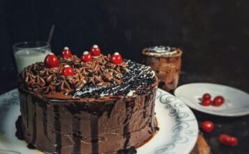 CAKE and Mandai X Unite to Launch Exciting ‘Ranger Buddies Animated Series’ for Young Explorers Alt text image for Ranger Buddies Animated Series